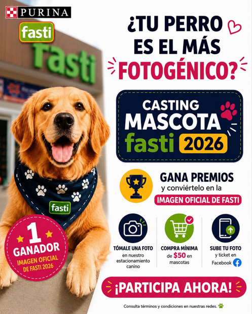 WEB PERRO